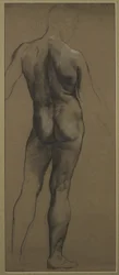 Male Nude Study